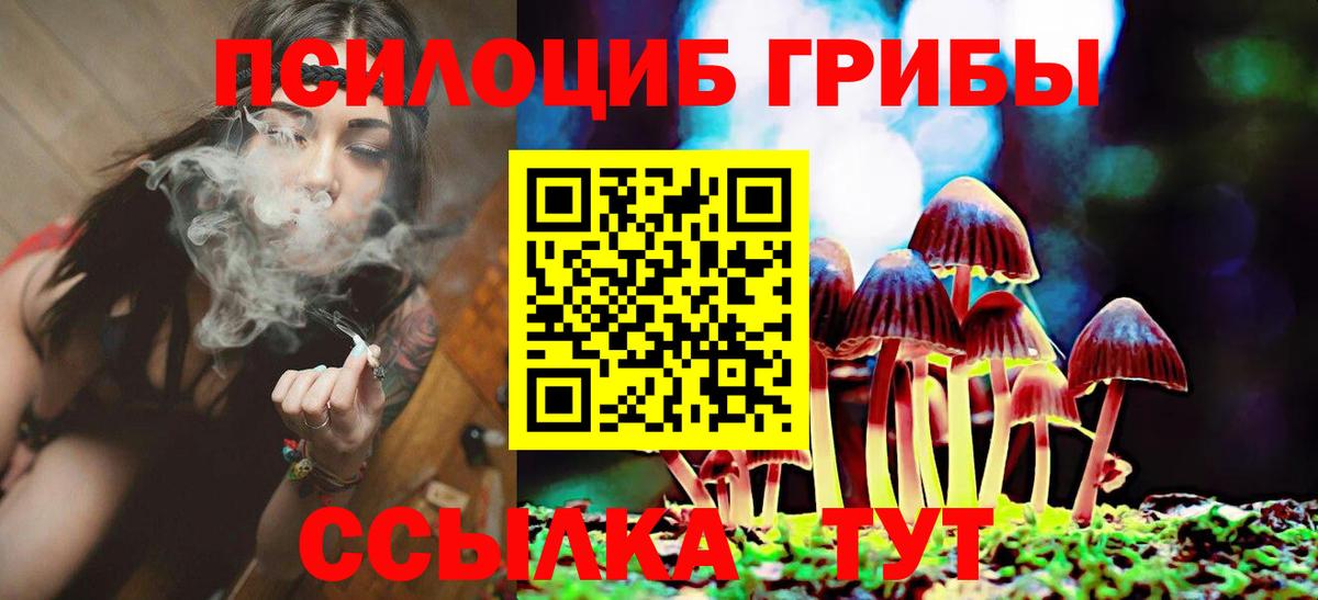 Псилоцибиновые грибы MAGIC MUSHROOMS  Вход с VPN  Малгобек 
