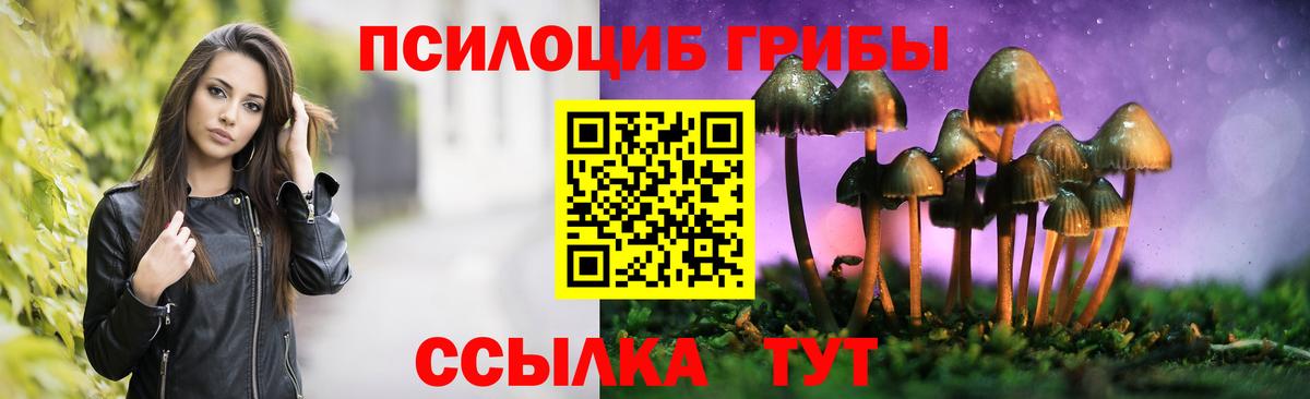 Галлюциногенные грибы Magic Shrooms Малгобек